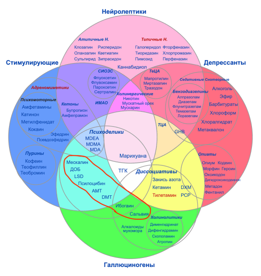 Psychopharmaceuticals-Ayahuasca