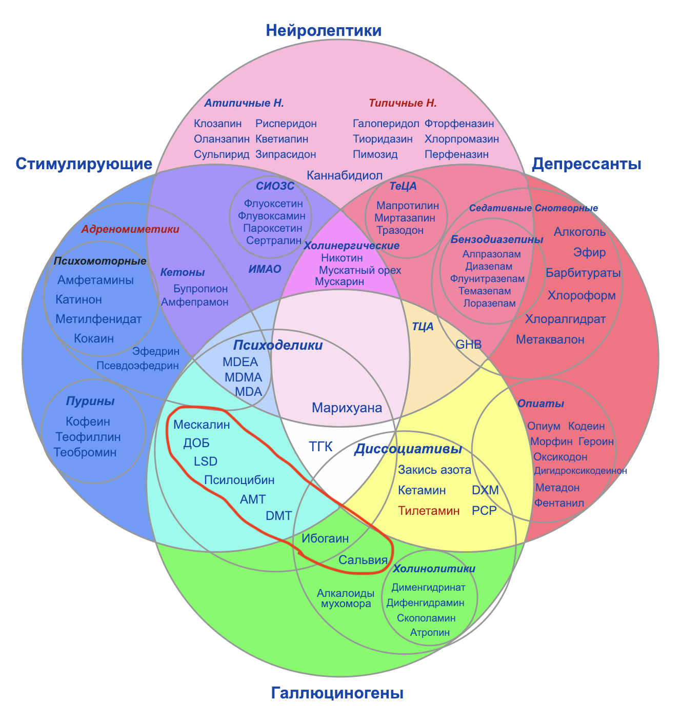 Psychopharmaceuticals-Ayahuasca